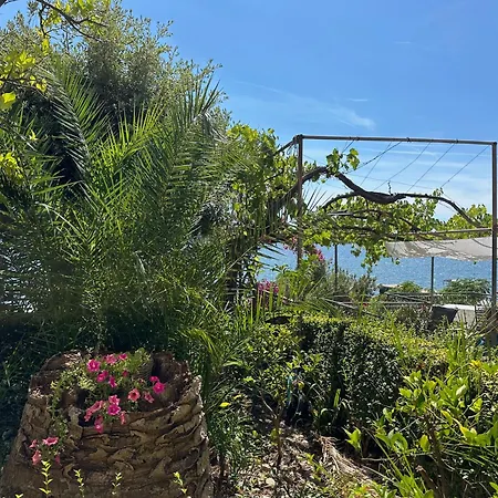 Bed & Breakfast Miranda 3 *