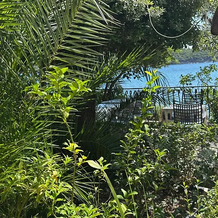 Miranda 3 Barbat na Rabu